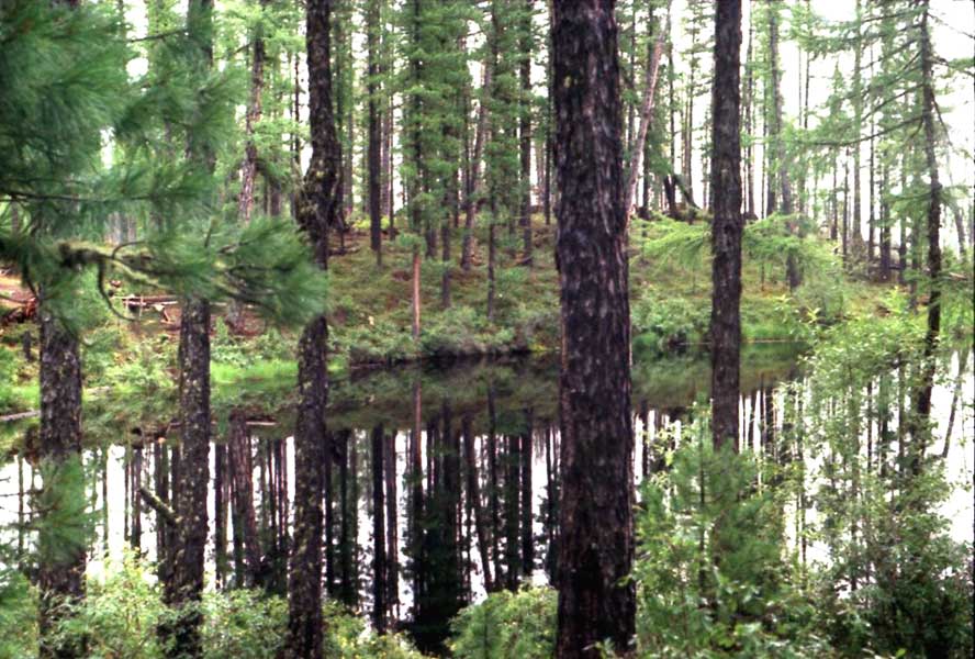 ������ �����