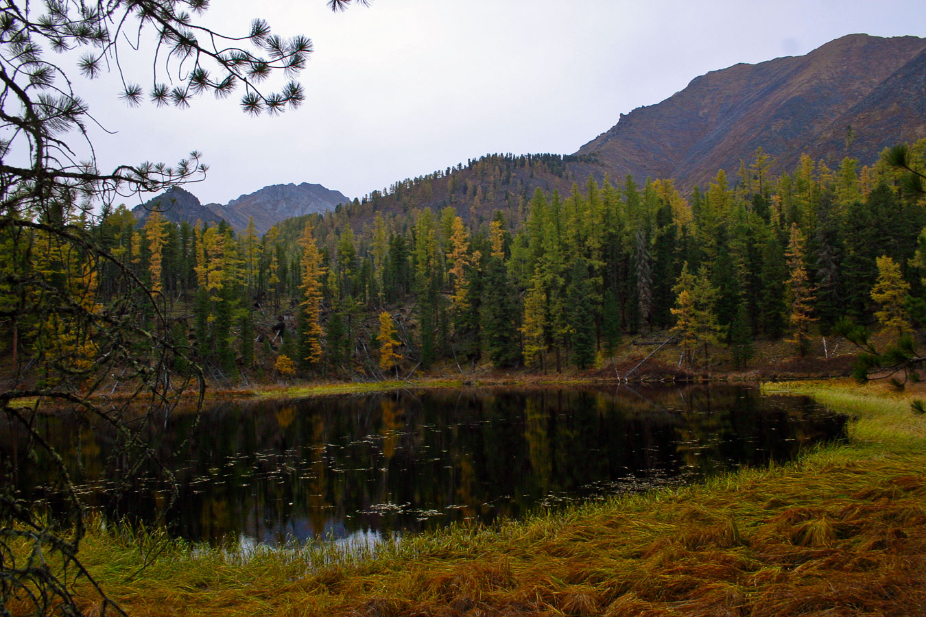 ����� � ��������-�������