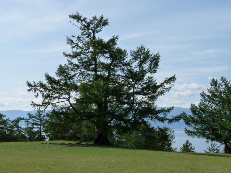 ����� �����