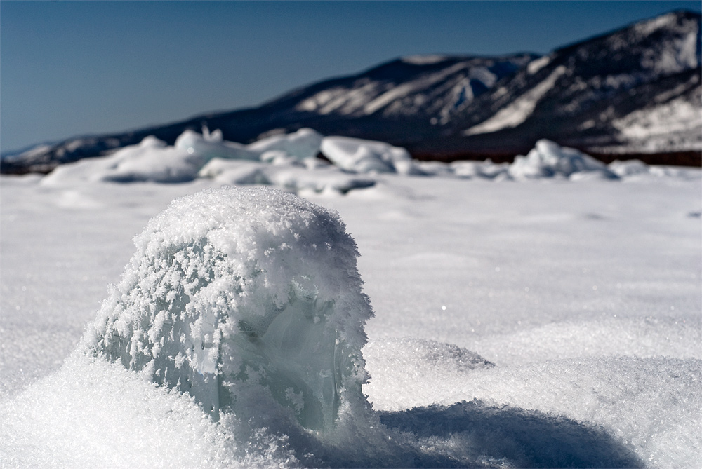 ������� �����