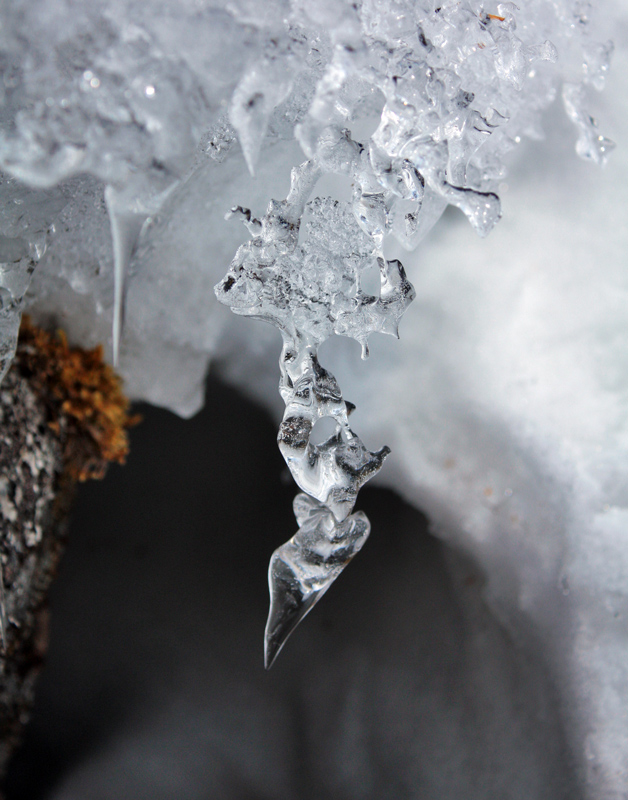 ��������� ������