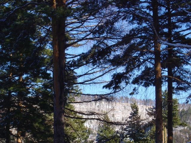 ����� ���