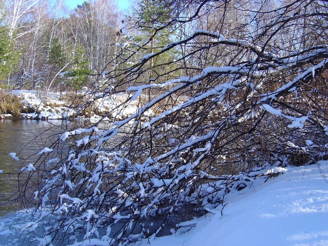 ������� ��������