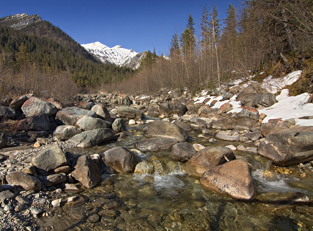 ����� � ���������� �������