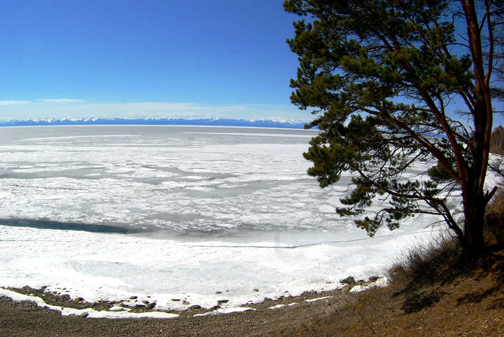 ������� ������