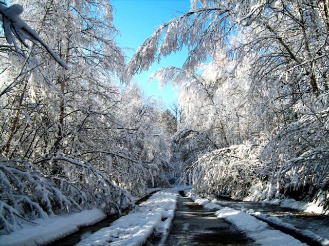 ������ ������ � ������. ����������� ����������� ����������.