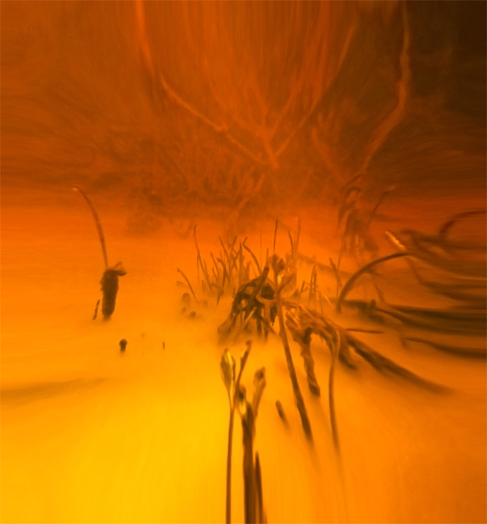 ��������� ������ � ���� ���