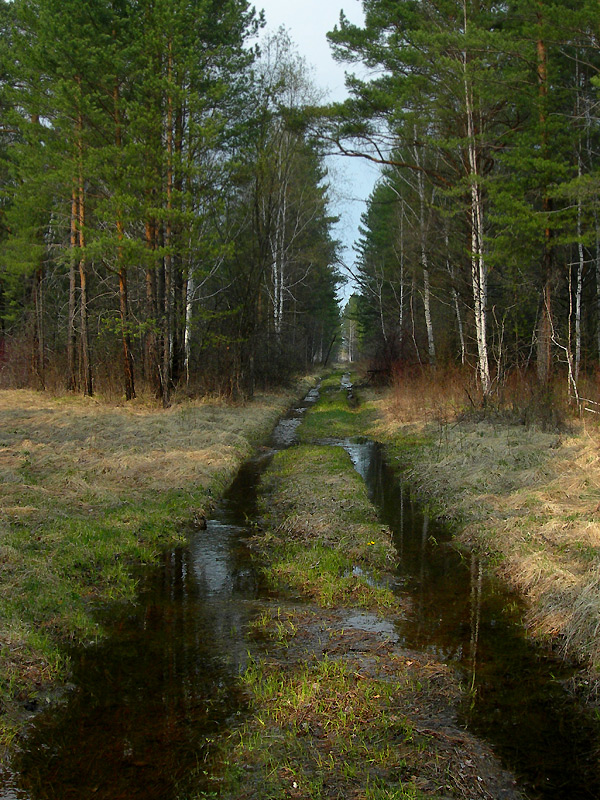 �� ������, ����, �� ������� ������!