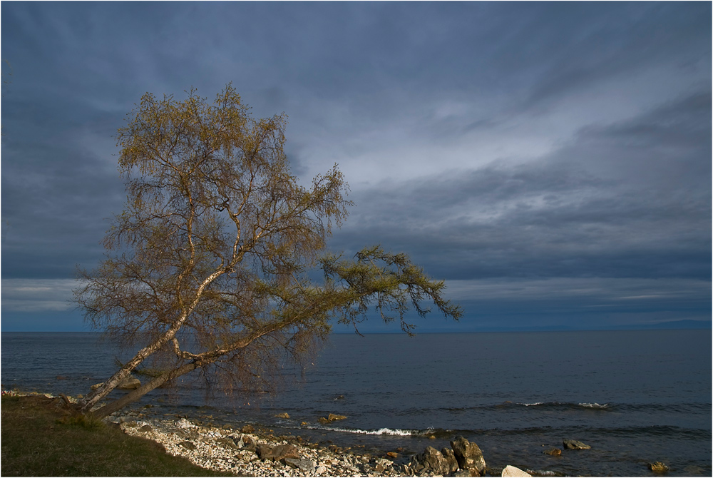 ��� ������ � ����