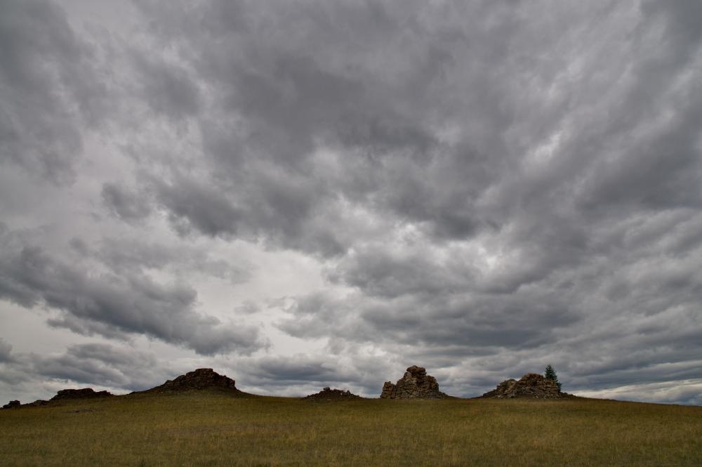 � �����������  �����