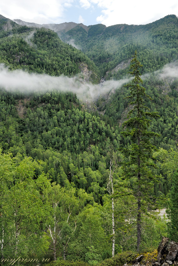 ����� �����