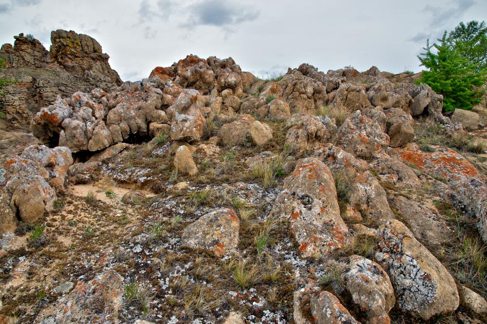 � ����������� �����