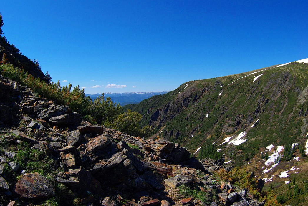 �� ������ �����