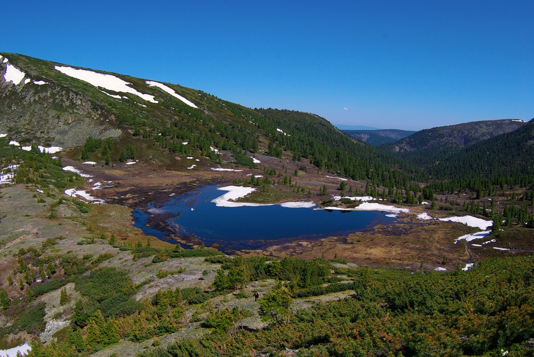 ׸����� �����