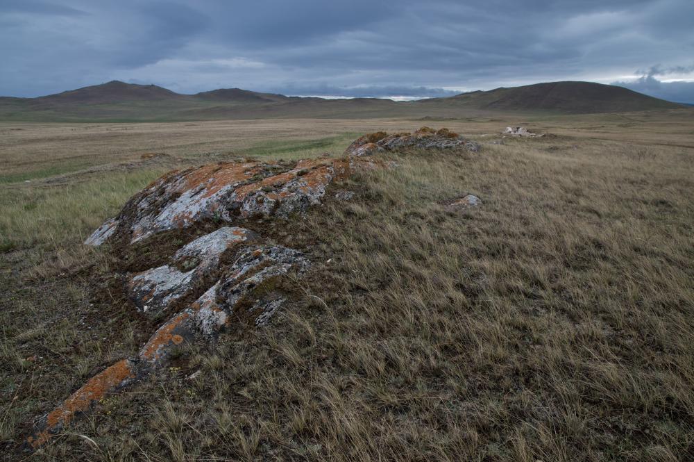 ����������� ���������