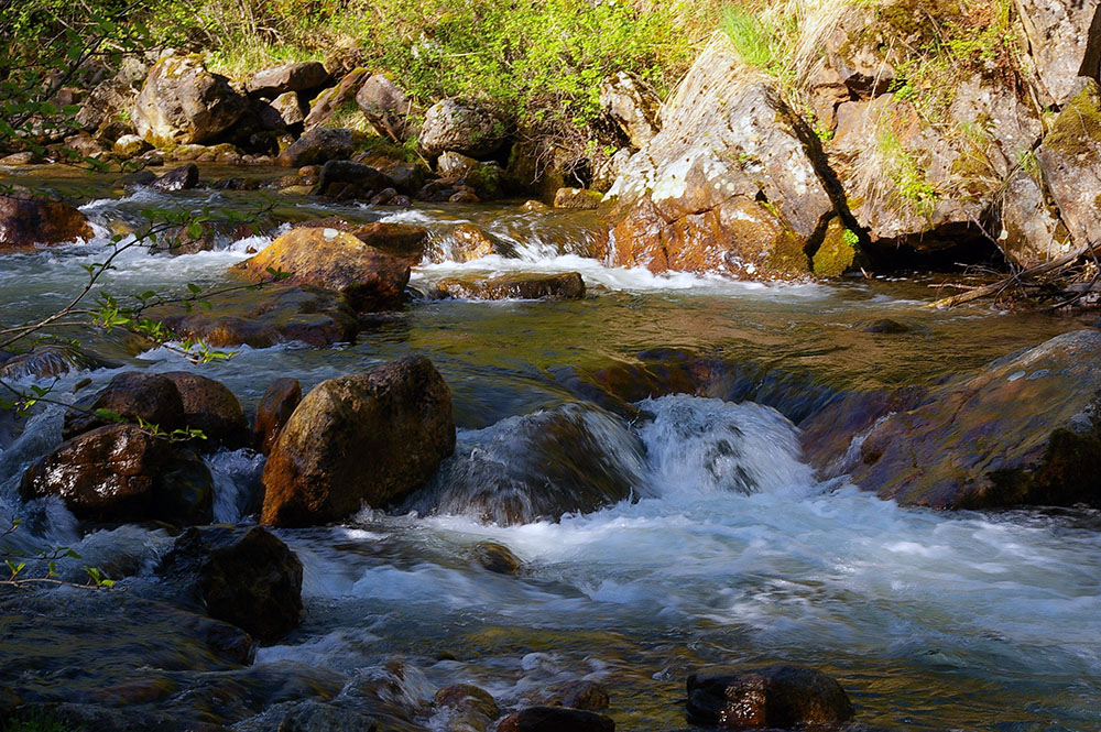 ���������� ��������