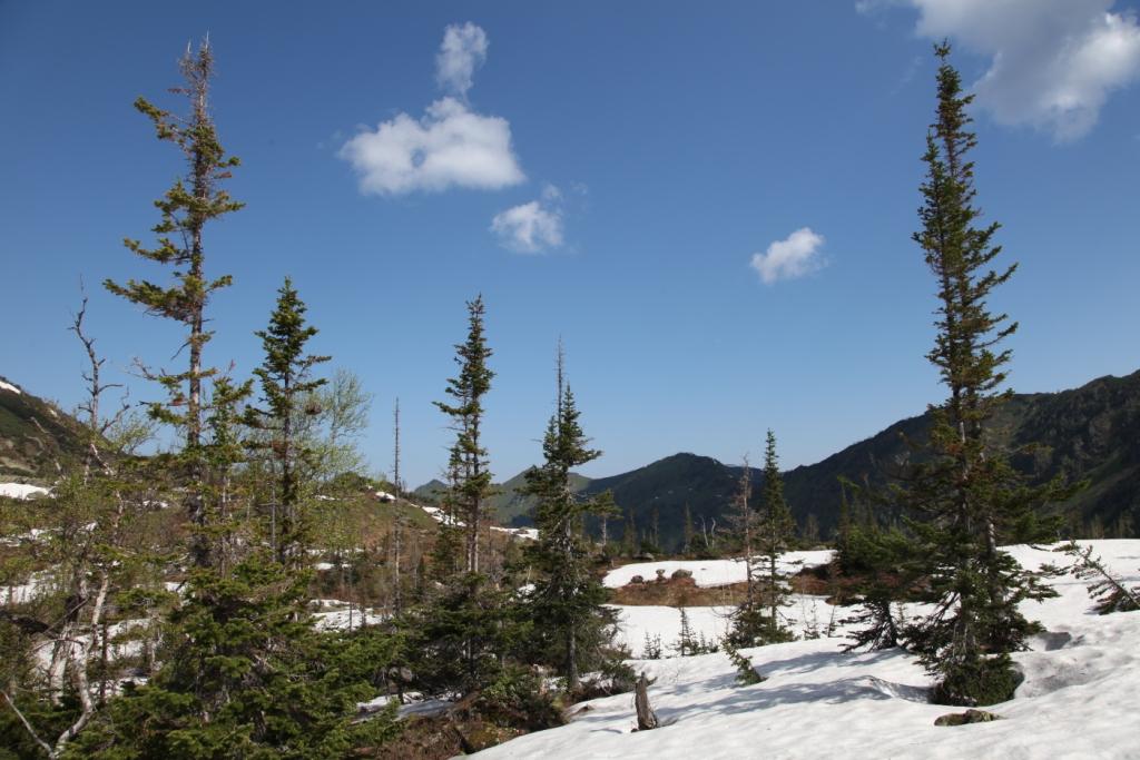 ������ �������