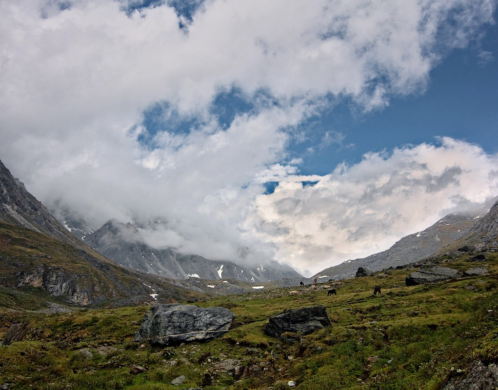 � ������ ����� ������