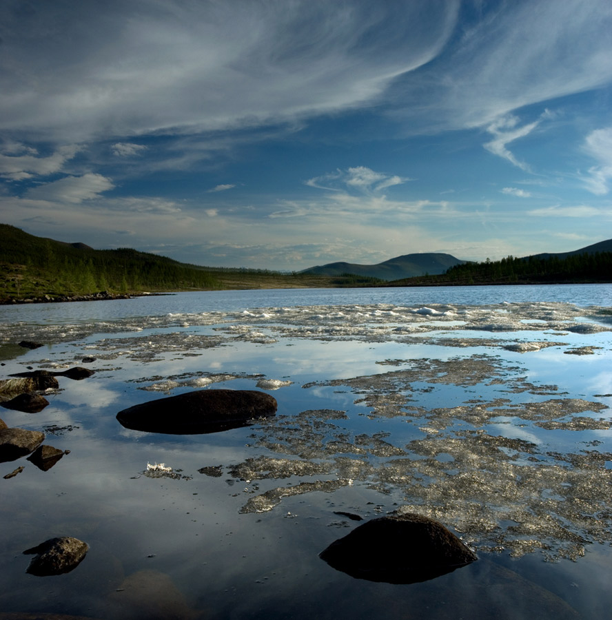 ������ ������� �����