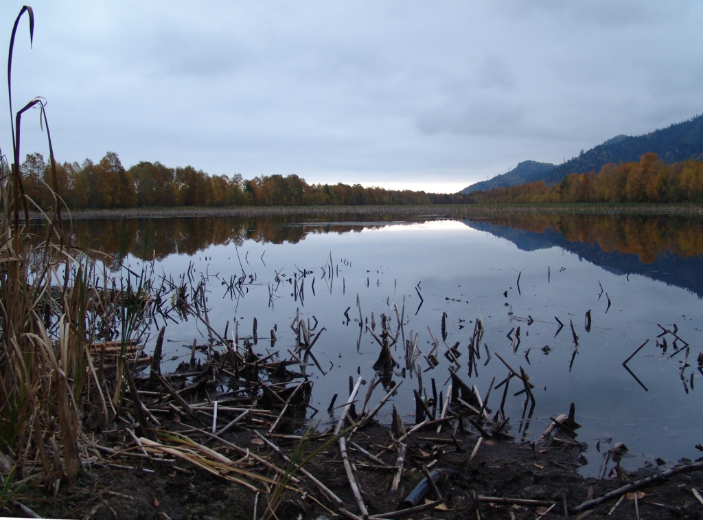 ���������� ���������