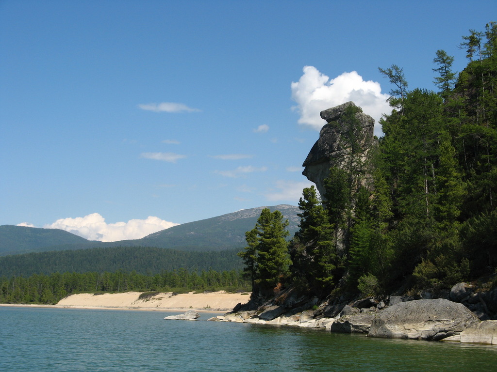 �������� ����� ��������.