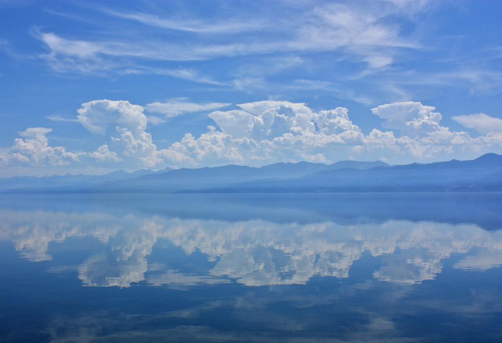 ����.����.������.