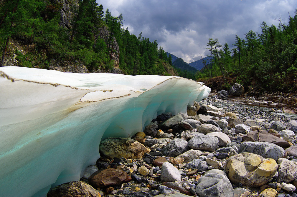 ���� ����-����