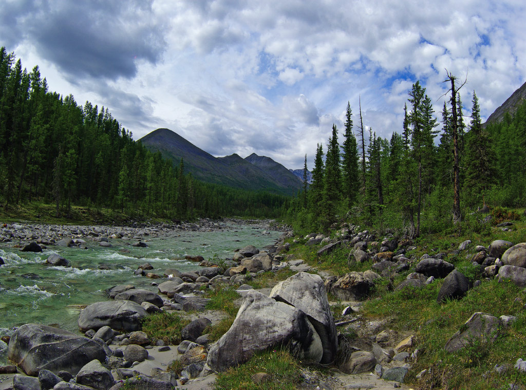  �� ������ ���-����