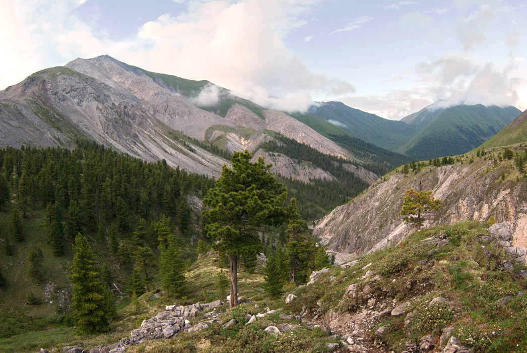 ��� �� ������ � �������� �������� � ������ �����-����