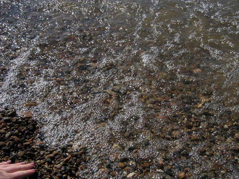 ����������� �����������