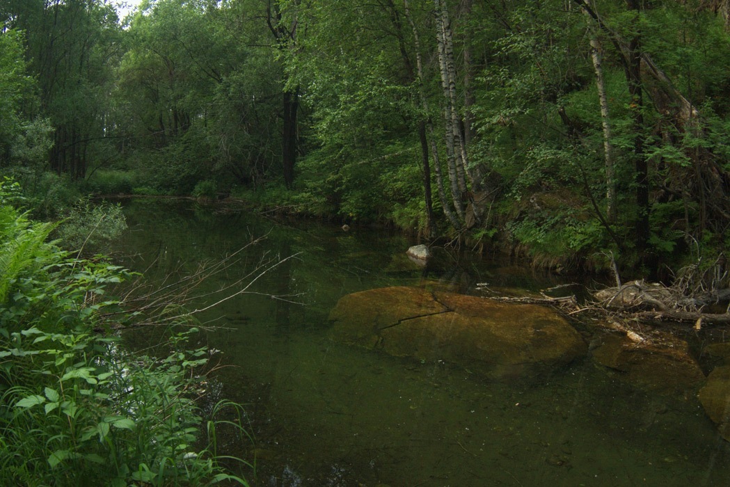 � �������