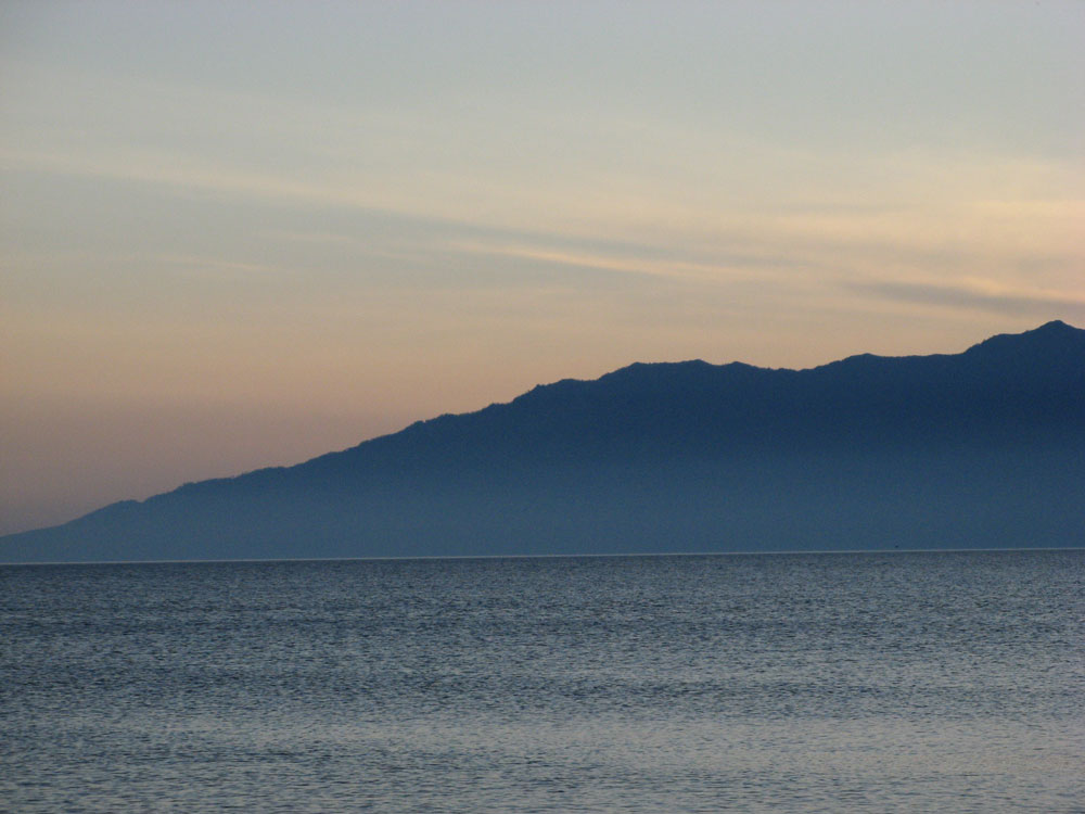 ����� ����