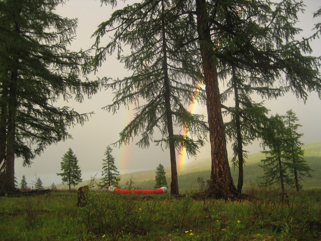 �.����. ����'08