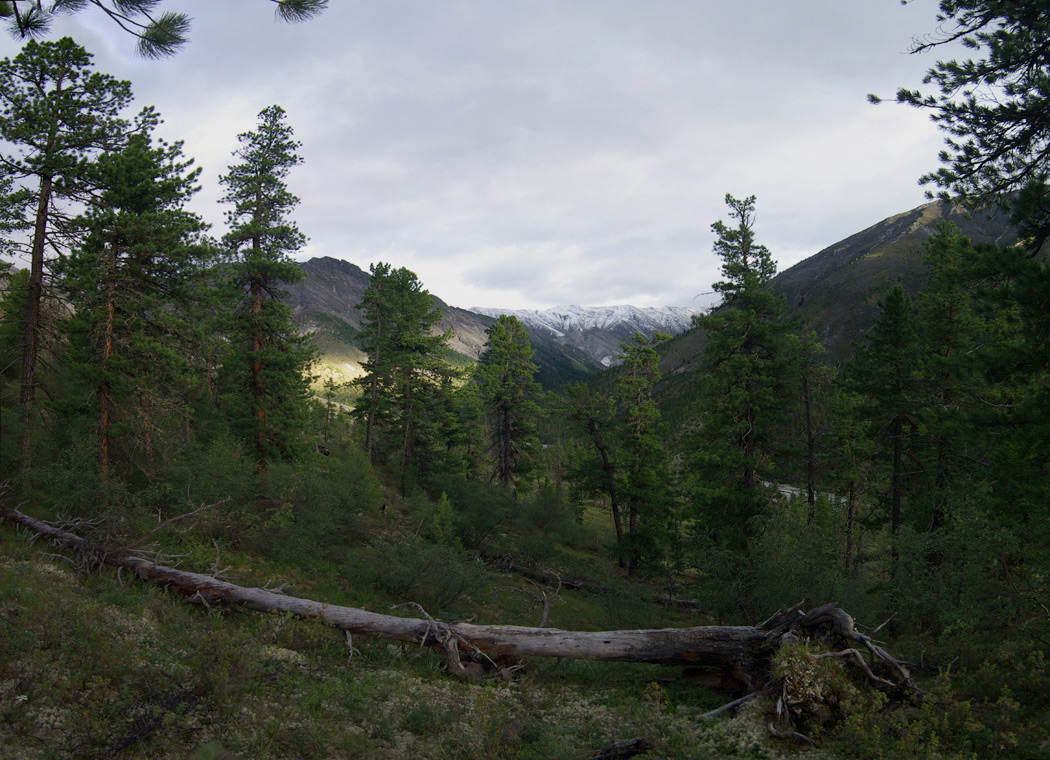 � ��������� ����-����