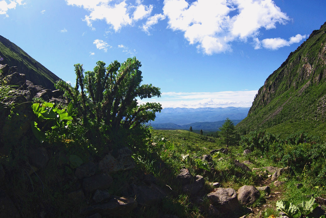 ��� � ���������� �������� � ������� �����