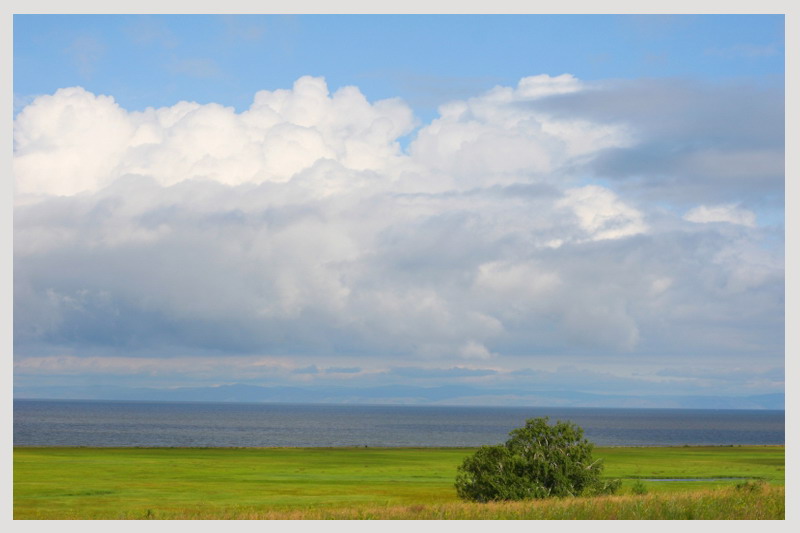 �-� �������