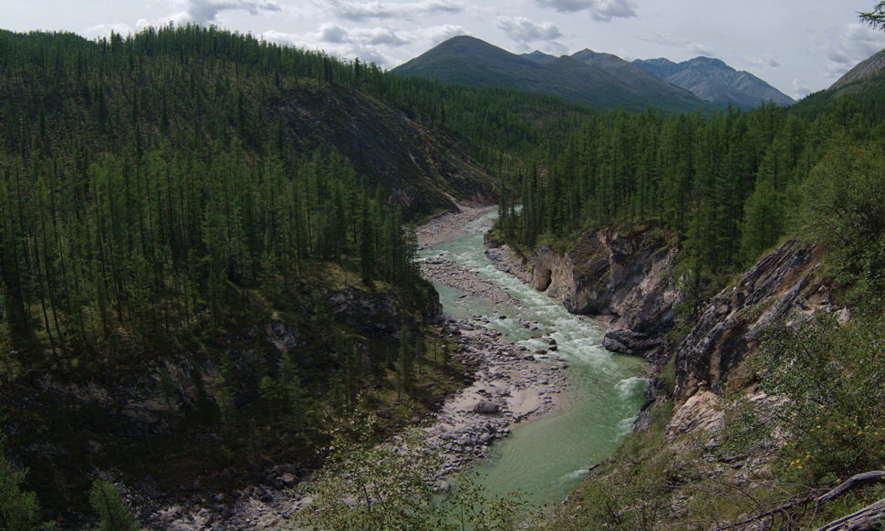 � ���� �������