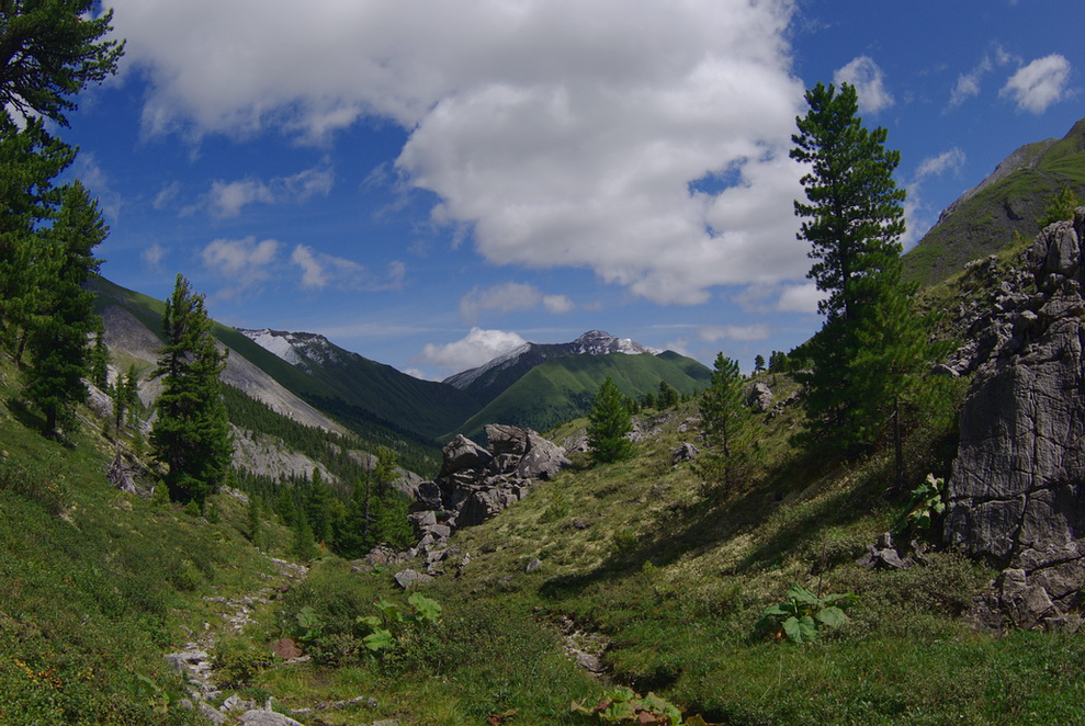 �� ������