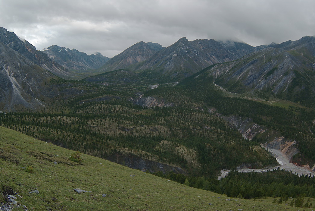 ��� �� ������ ������