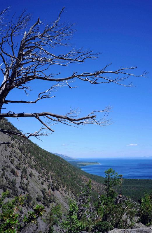 ������ ������