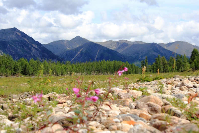 �������� �.��������