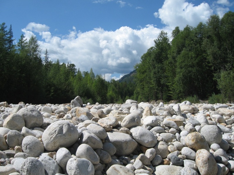 ����� �������  �.�������� 