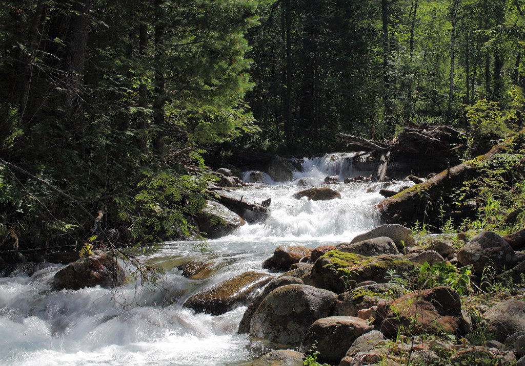 "�������" �� ���� � ������� �����������