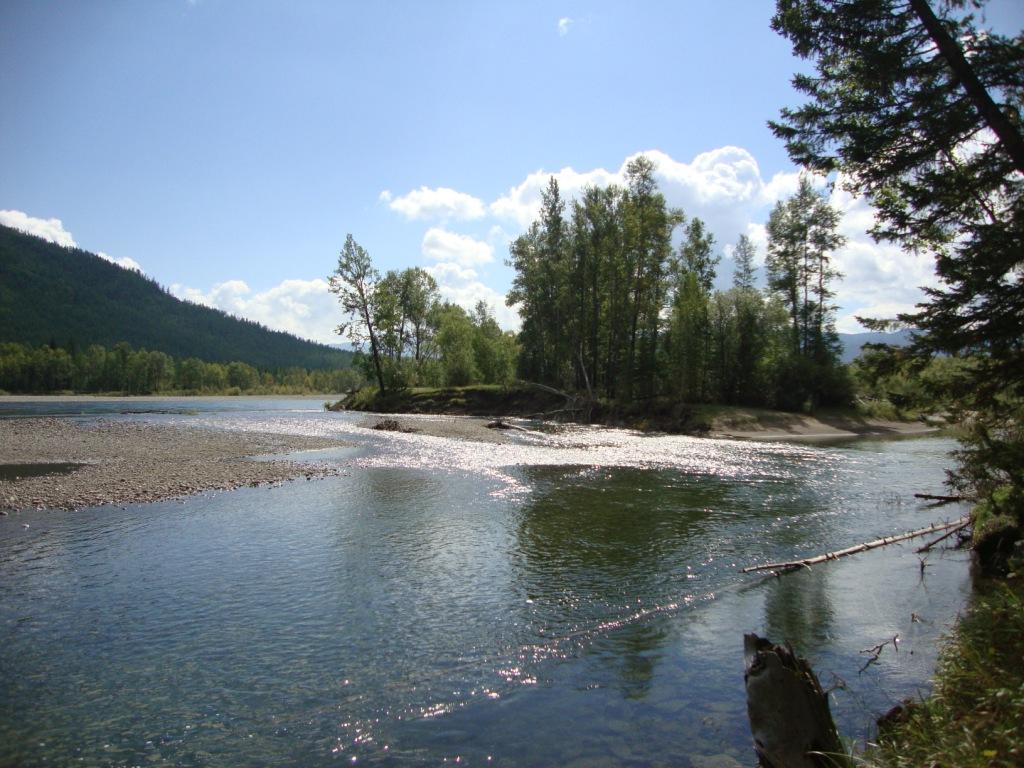 55
