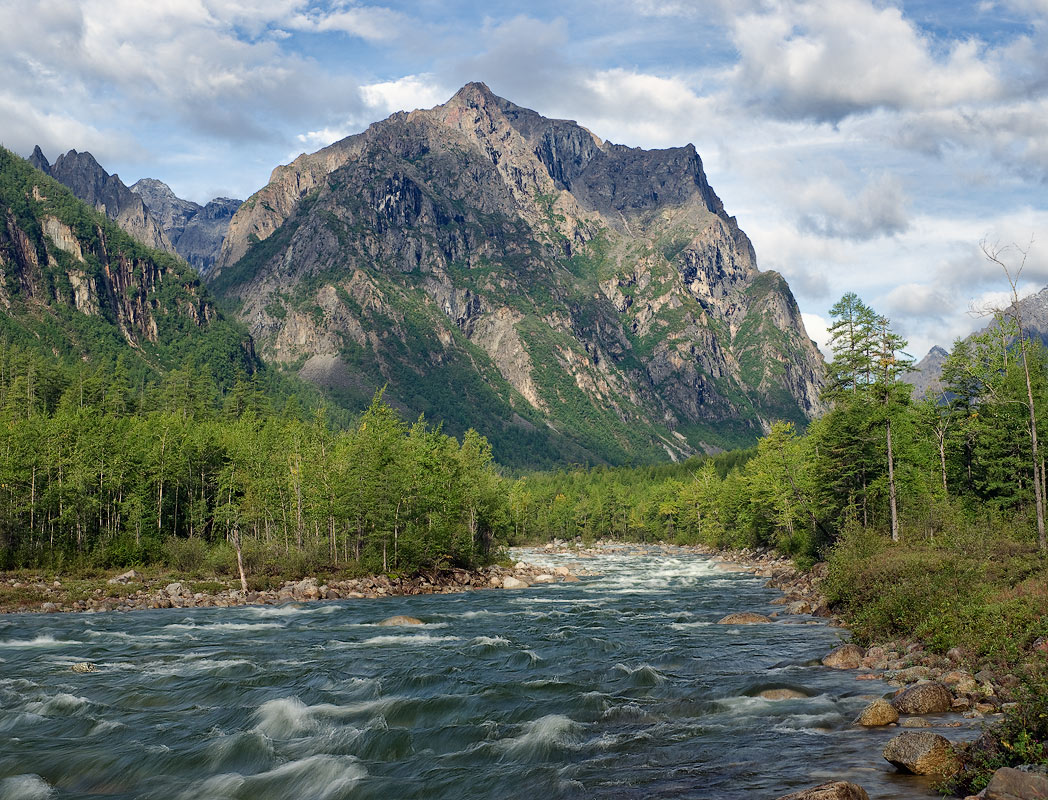 ������� �������