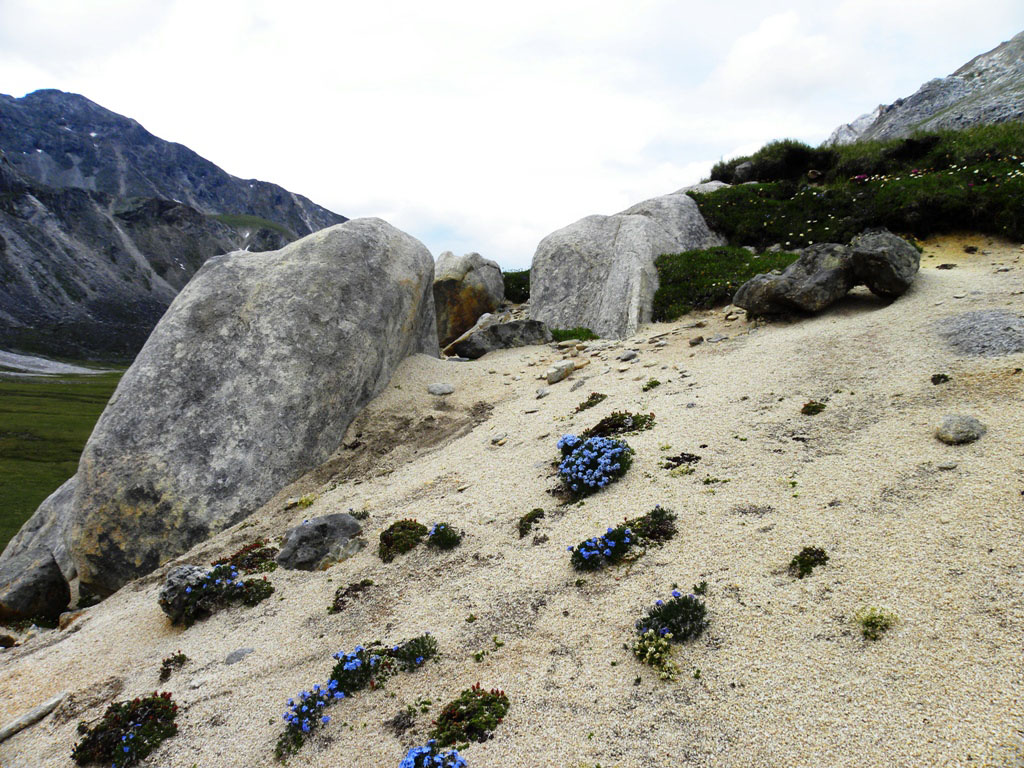 ���������� ��� ������