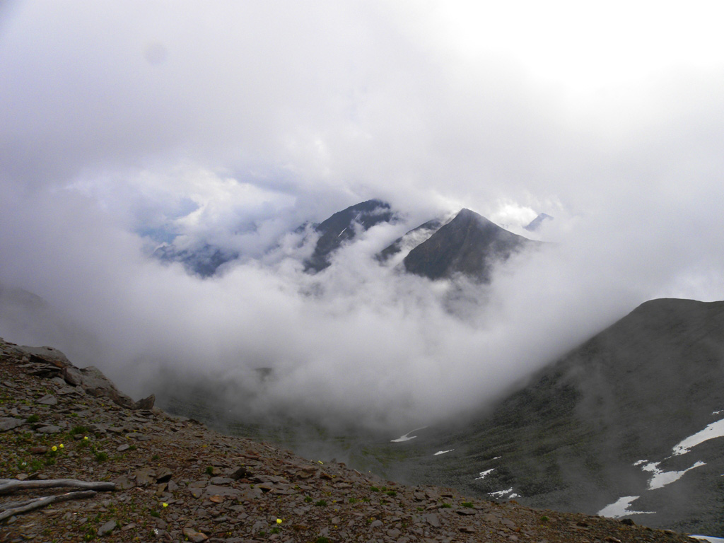 ��������