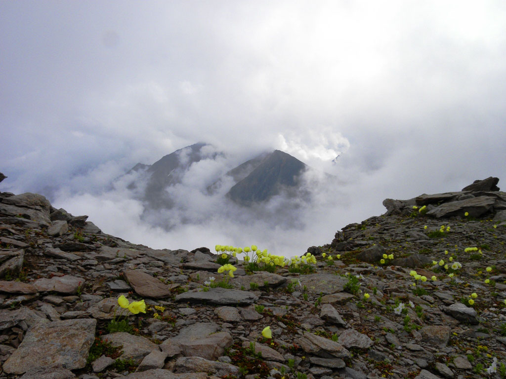 �������� - 2 