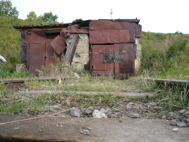 3   -  