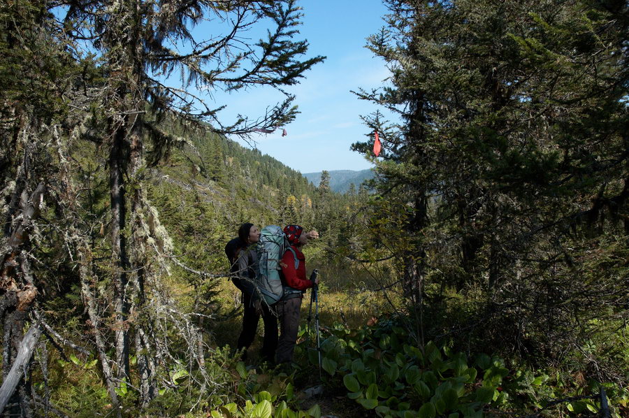 �� ������� ����� �����